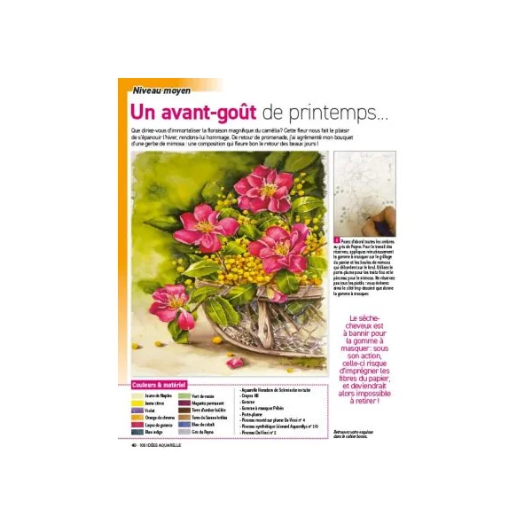 100 idées AQUARELLE - Vos tutos pas à pas + les esquisses