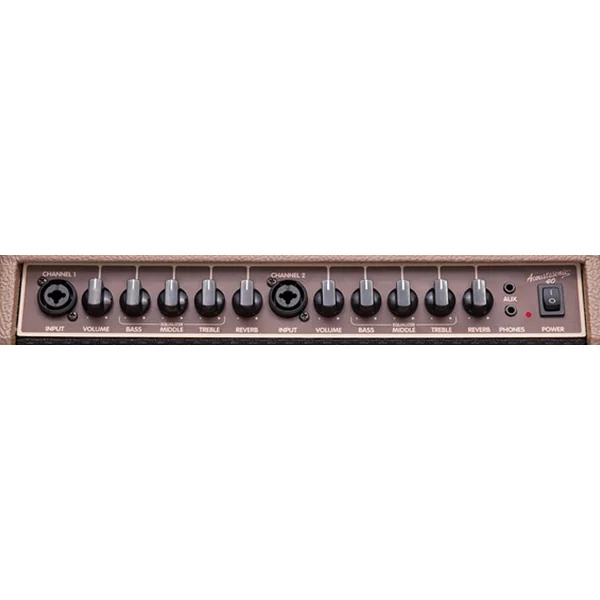 Acoustasonic 40