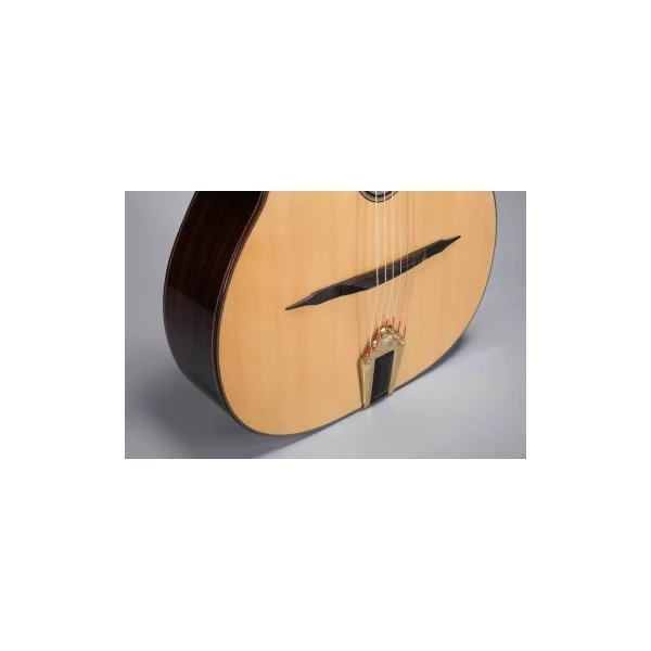 Altamira manouche M01