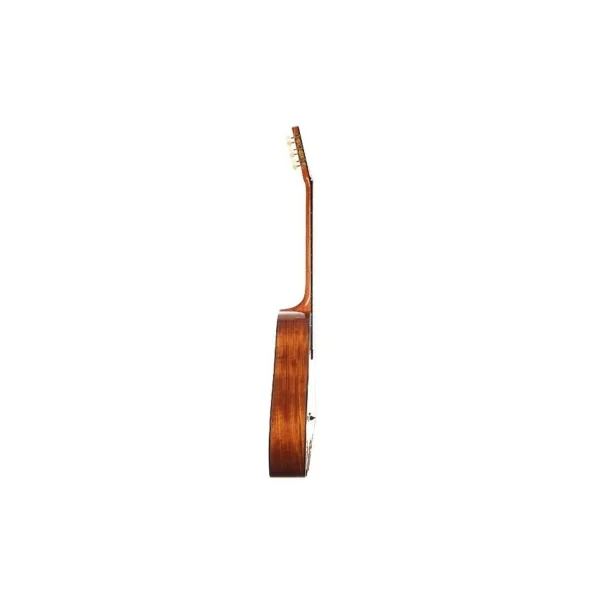 Altamira manouche M20D