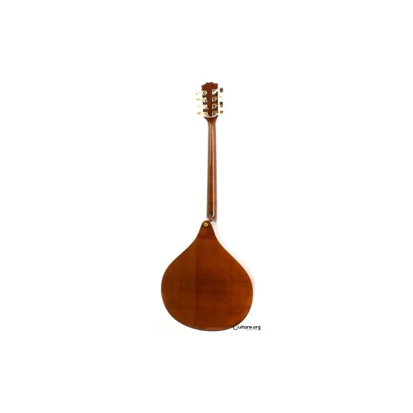 Bouzouki Irlandais Concert