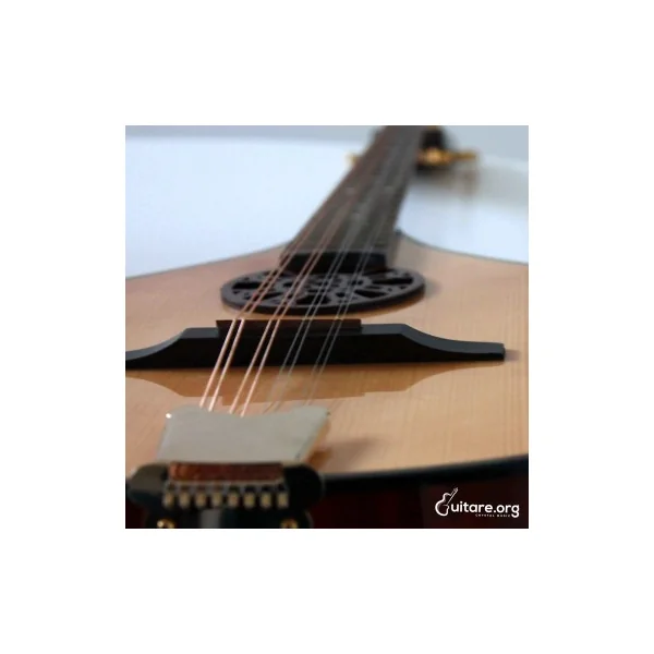 Bouzouki Irlandais Concert
