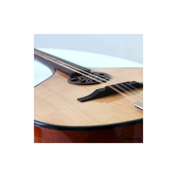 Bouzouki Irlandais Concert