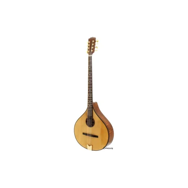 Bouzouki Irlandais Concert