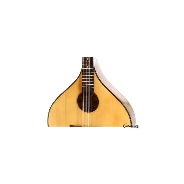 Bouzouki Irlandais Concert