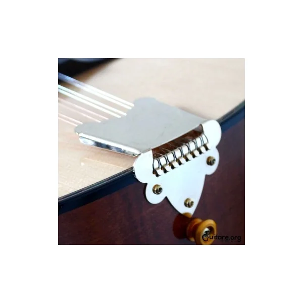 Bouzouki Irlandais Concert