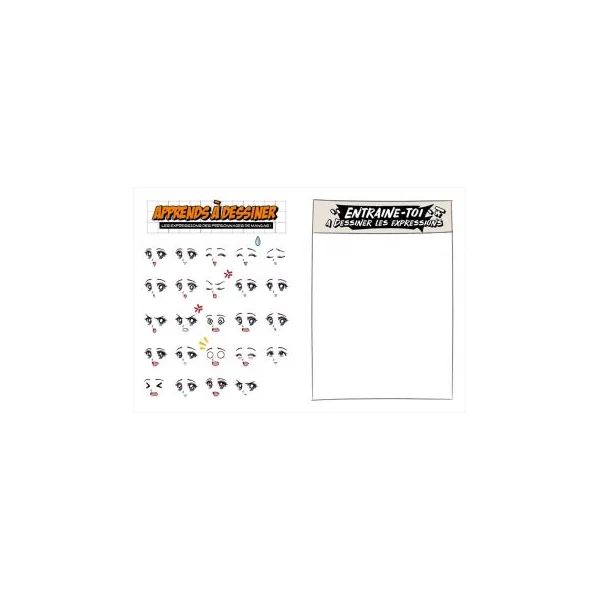 Carnet du fan de manga et d'animé