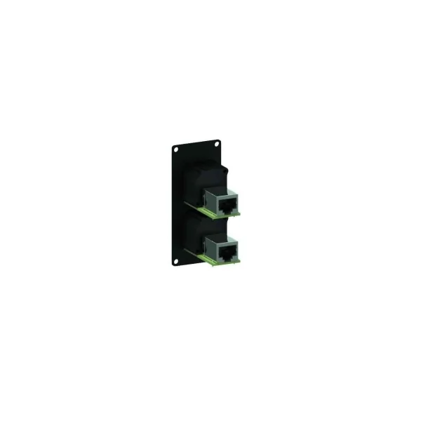 CASY 168 Caymon module 1 unité pour coffret casy avec 2 x RJ45 type D