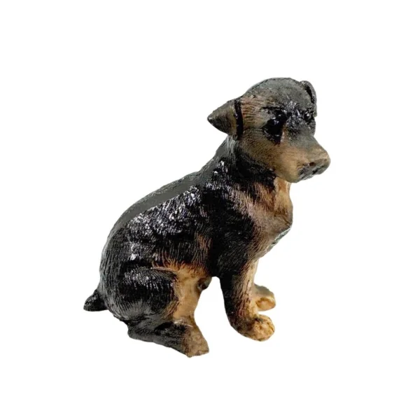 Chien dobermann " Rocky "