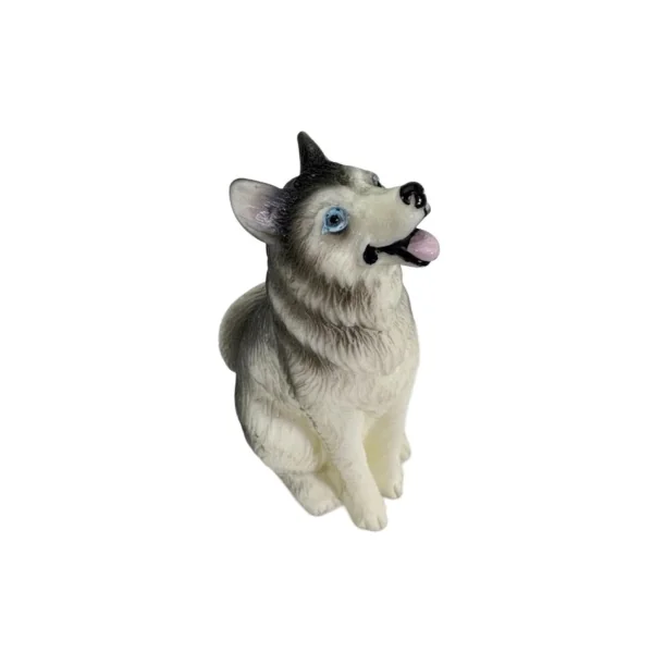 Chien Husky Sibérien " Snooty "