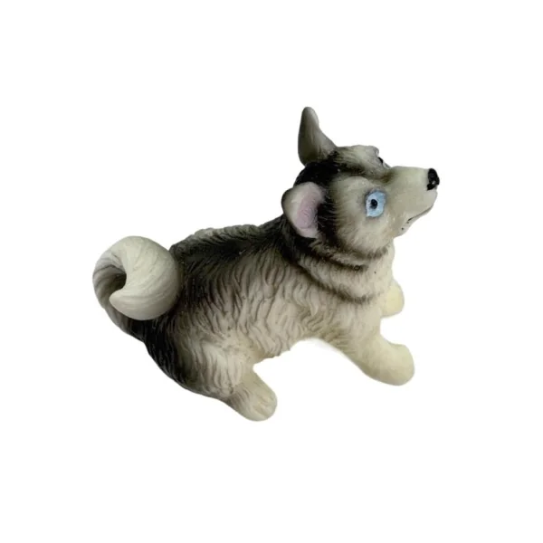 Chien Husky Sibérien " Zeppi "