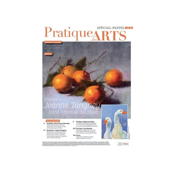 Collection 2021 suppléments PASTEL 6 numéros - Pratique des Arts