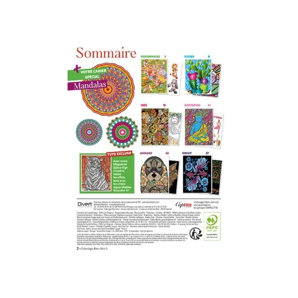 Coloriage Bien-Etre n°3 - 100 coloriages + un cahier Mandalas