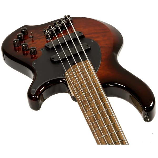 Combustion 5 2-Pickups (PF) - vintage burst