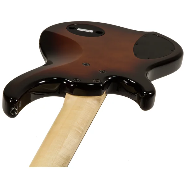 Combustion 5 2-Pickups (PF) - vintage burst