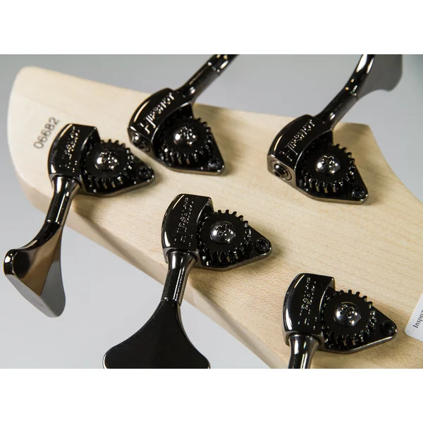 Combustion 5 2-Pickups (PF) - vintage burst