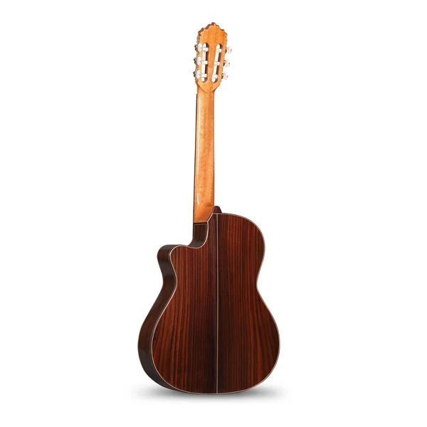 Cutaway 7PA CW E8 - natural