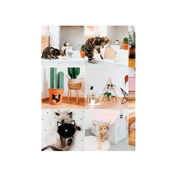 DIY pour votre chat - 15 projets simples et tendances pour lui faire plaisir - Astrid Eudeline