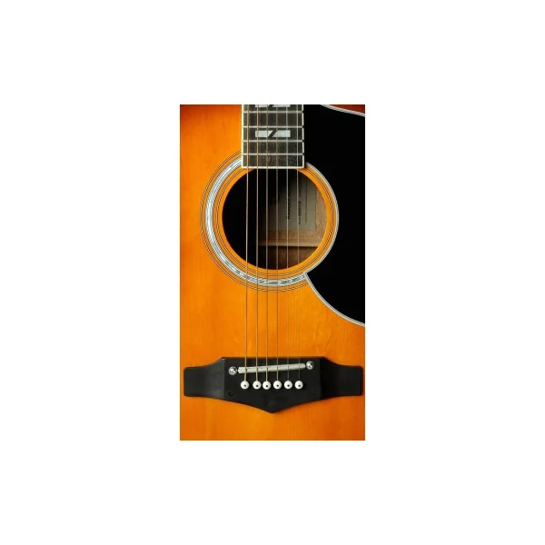 Eko Ranger 6 Vintage Reissue Dreadnought EQ Honey Burst