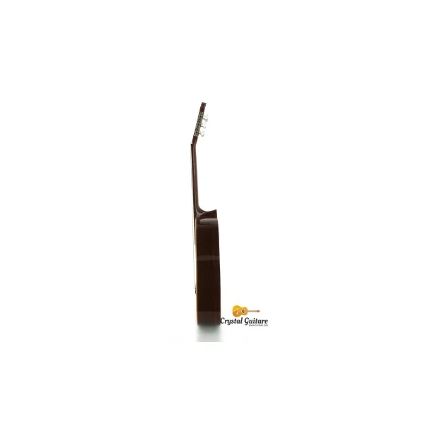 Esteve 1GR01 gaucher