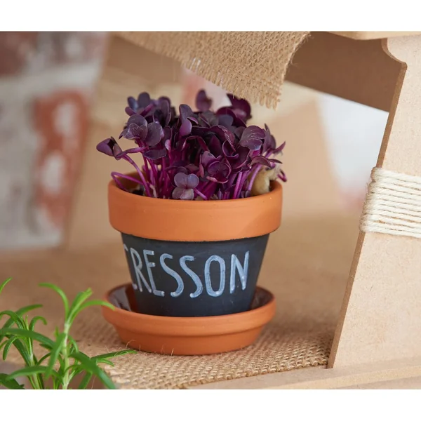 Etagère en escalier pour plantes