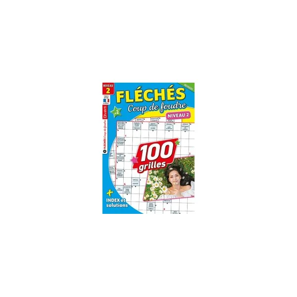 Fléchés Coup de foudre n°2 - 100 Grilles de niveau 2
