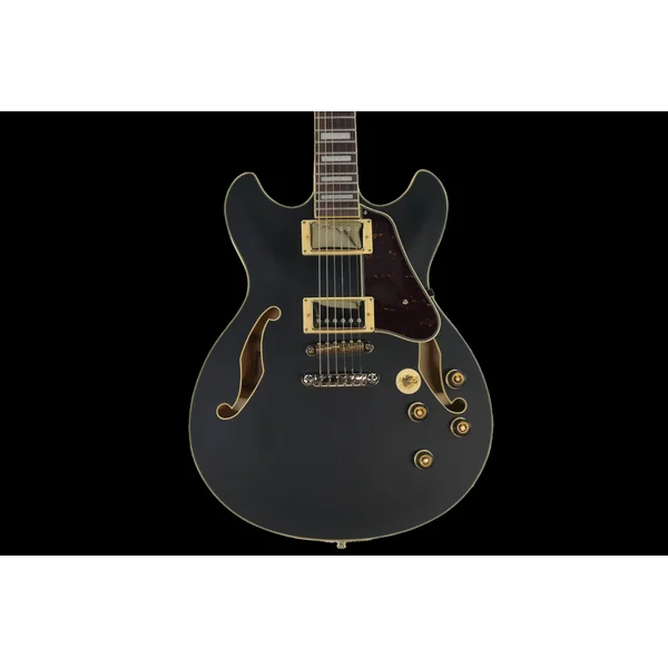 Ibanez AS73G-BKF Hollow body