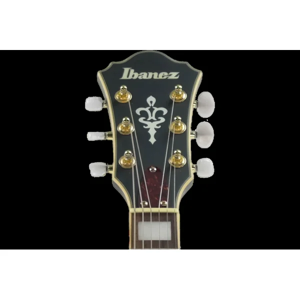 Ibanez AS73G-BKF Hollow body