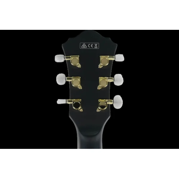 Ibanez AS73G-BKF Hollow body