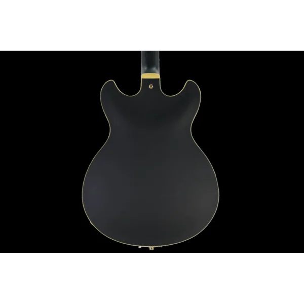 Ibanez AS73G-BKF Hollow body