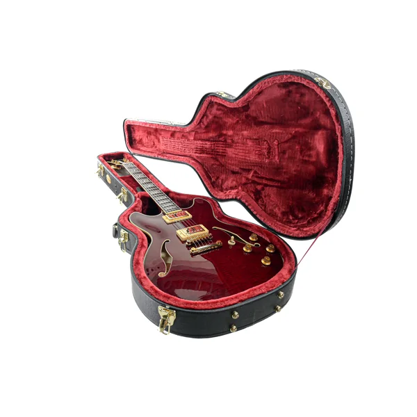 Ibanez EKM-100 WRD Eric Krasno 2014