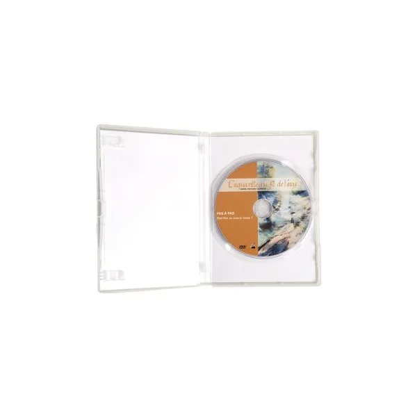 Joëlle Krupa - Pas à pas textures et effets - DVD vidéo