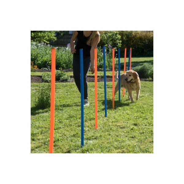 Kit complet agility parcours chien d'agilité haie piquets cerceau et tunnel