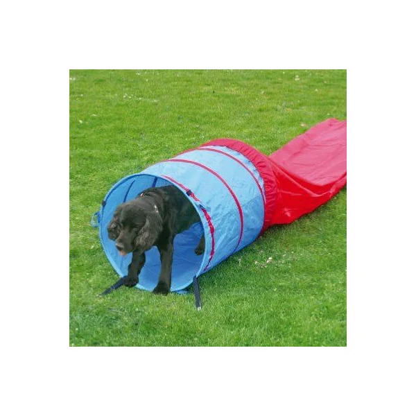 Kit complet agility parcours chien d'agilité haie piquets cerceau et tunnel