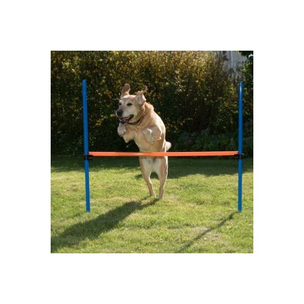 Kit complet agility parcours chien d'agilité haie piquets cerceau et tunnel