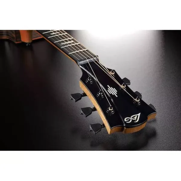 LAG - HYVIBE 50 AUDITORIUM CUTAWAY