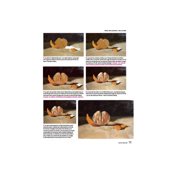 Le guide de l'atelier Plaisirs de Peindre + EN CADEAU les esquisses à décalquer