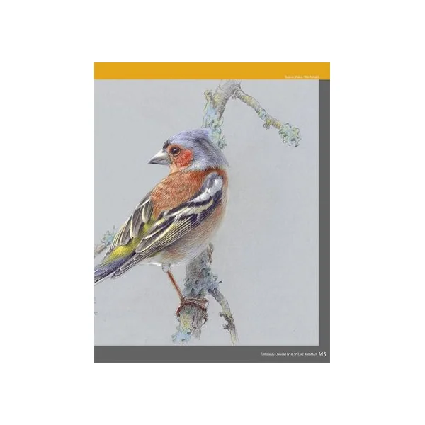Le manuel indispensable de l'art animalier - Editions du Chevalet n°16