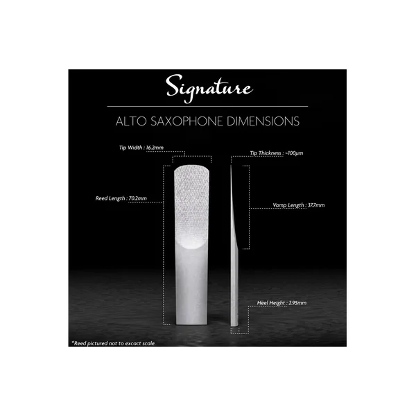 Legere Signature Altsaxofoon 3