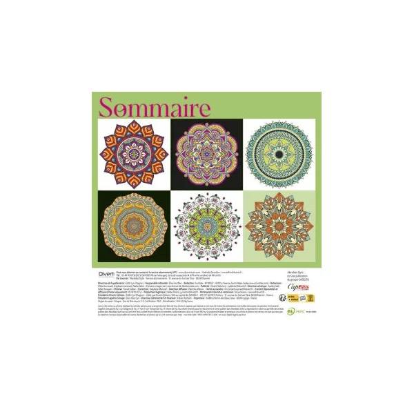 Mandalas Style n°5 - 100 motifs à colorier