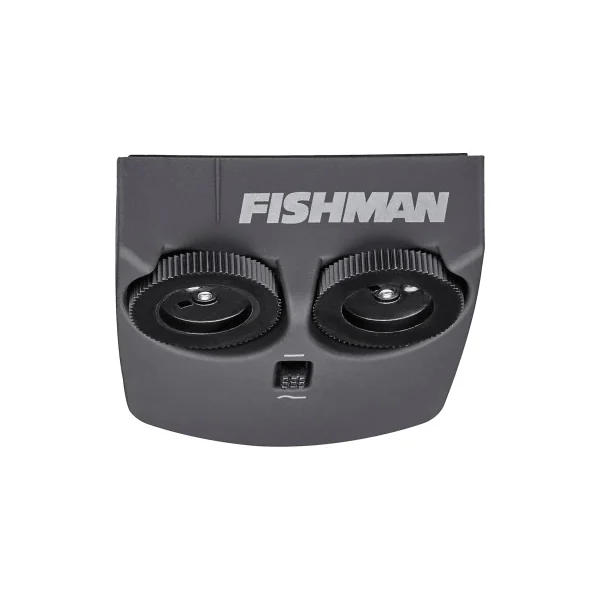 Micro pour instrument acoustique Fishman Format étroit