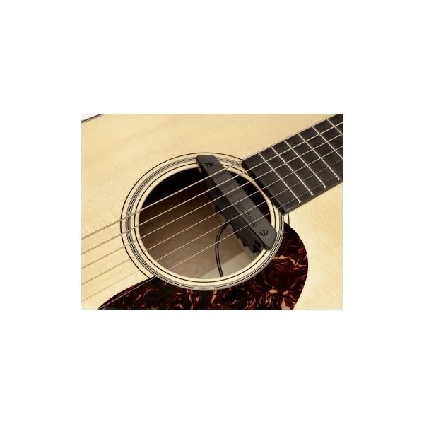 Micro pour instrument acoustique Fishman Rare Earth double bobinage pour rosace