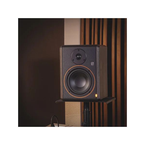 Palmer STUDIMON 5 - Moniteur de studio de proximité actif 5" de classe de référence