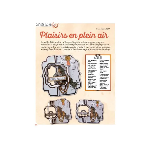 Passion Cartes Créatives 62 - En CADEAU 16 planches à détacher