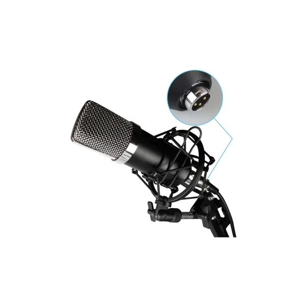 Power Vibe B1 Bundle XLR micro studio avec suspension anti pop bonnette et câble