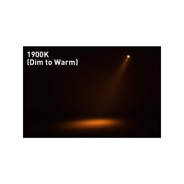 Saber Spot DTW ADJ projecteur led 15W Blanc chaud variable 1900-3100K