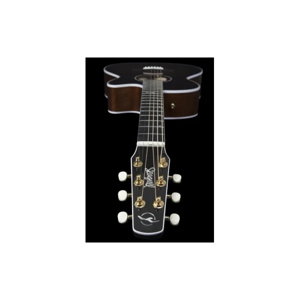 Seagull Artist Mosaic Concert Hall CW Bourbon Burst GT EQ