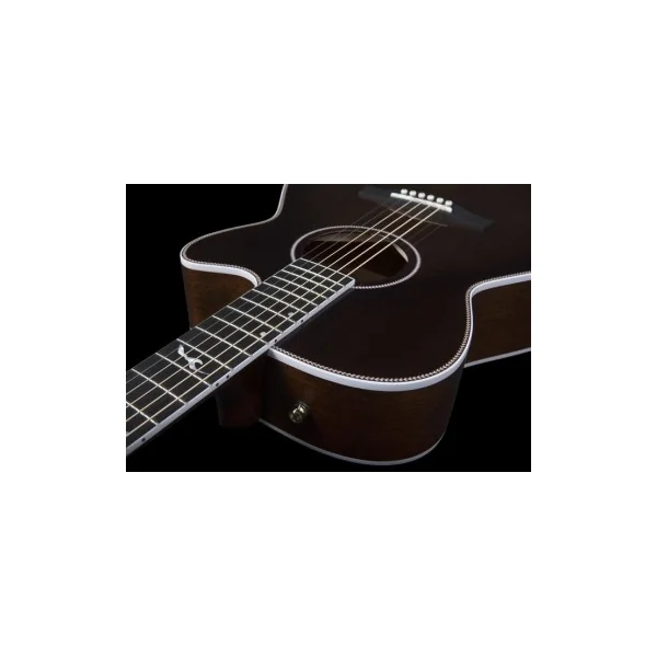 Seagull Artist Mosaic Concert Hall CW Bourbon Burst GT EQ