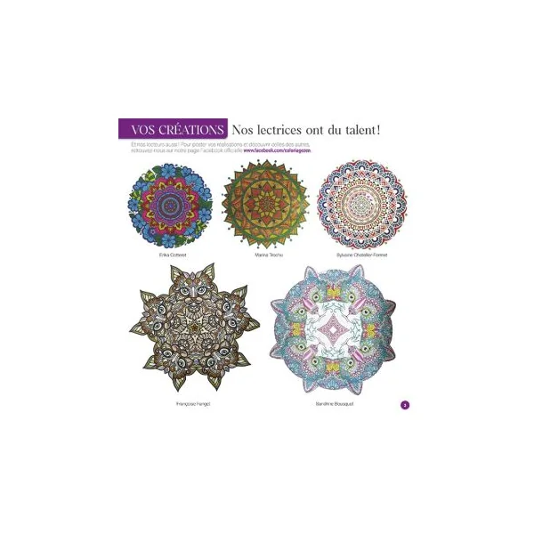 Spécial Automne - Mandalas Ambiance Zen 23 - 100 motifs à colorier