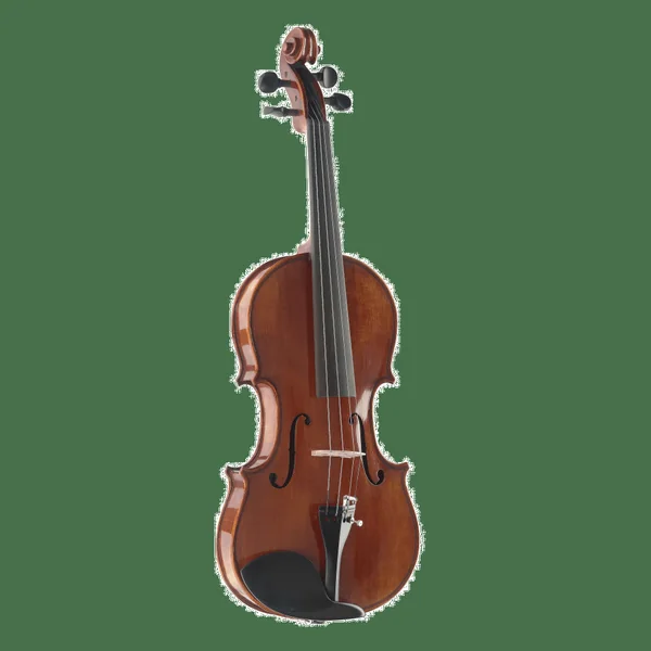 Stagg VN-4/4 HG viool starterset Deluxe